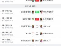 乐鱼体育 官方平台-爱尔兰逼平丹麦，晋级欧洲杯八强